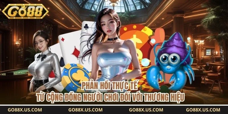 Phản hồi thực tế từ cộng đồng người chơi đối với thương hiệu